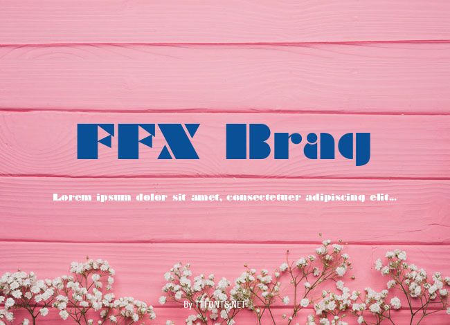 FFX Brag example